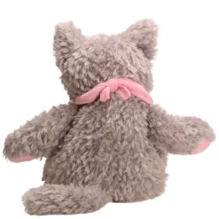 Bouillotte chat