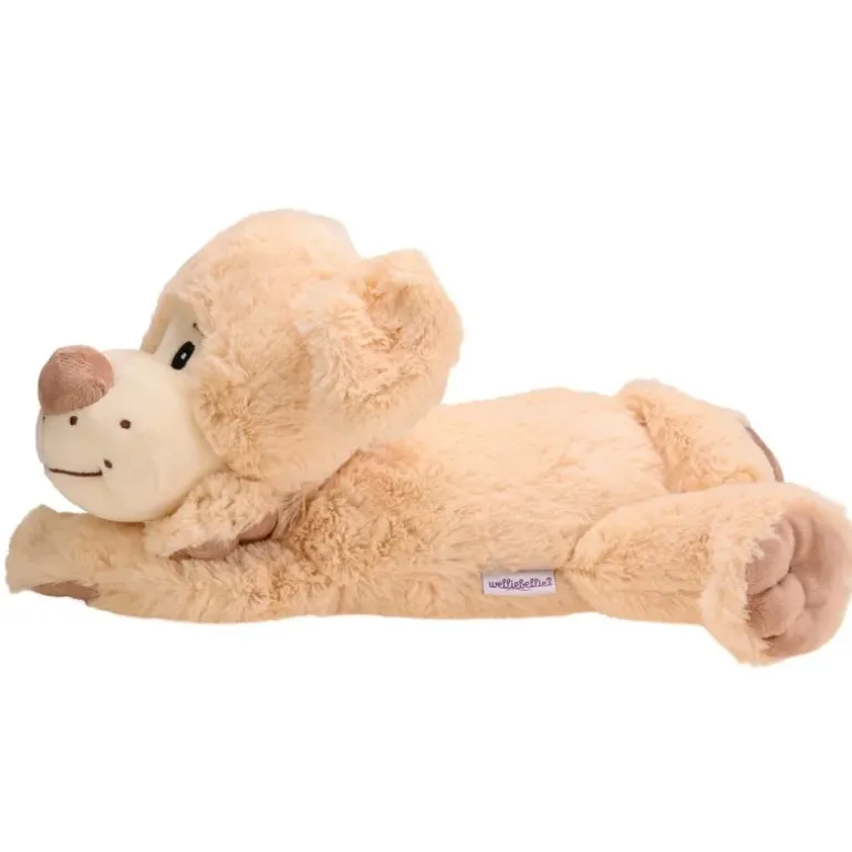Bouillotte chien