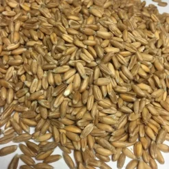 Coussin chauffant aux grains d'épeautre