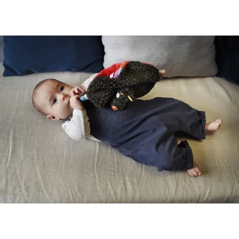 Doudou musical Chaperon / Louloup