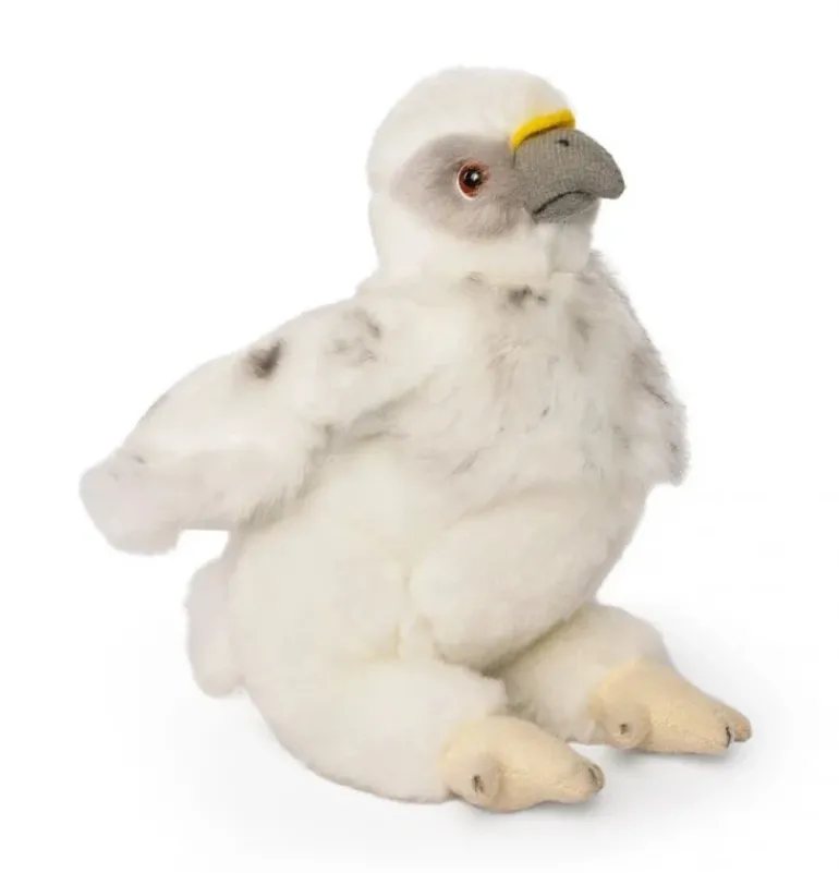 Peluche Aiglon - 15 cm