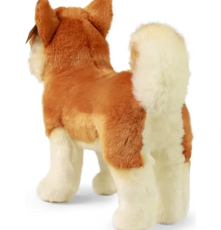 Peluche Akita Inu - 30 cm