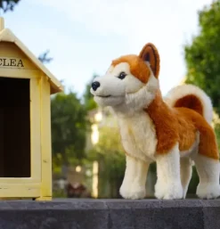 Peluche Akita Inu - 30 cm