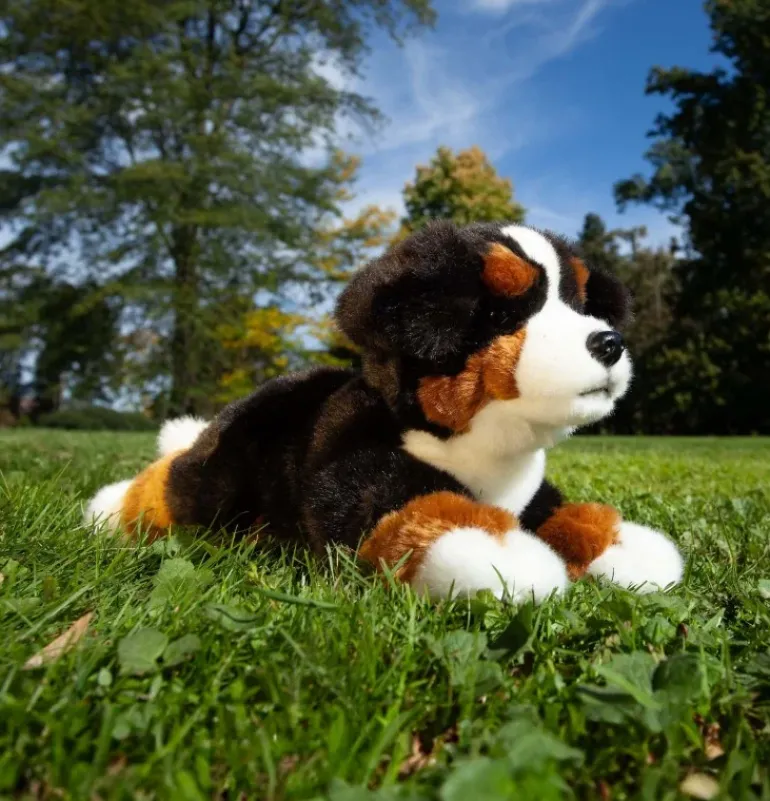 peluche Bouvier Bernois - 30 cm