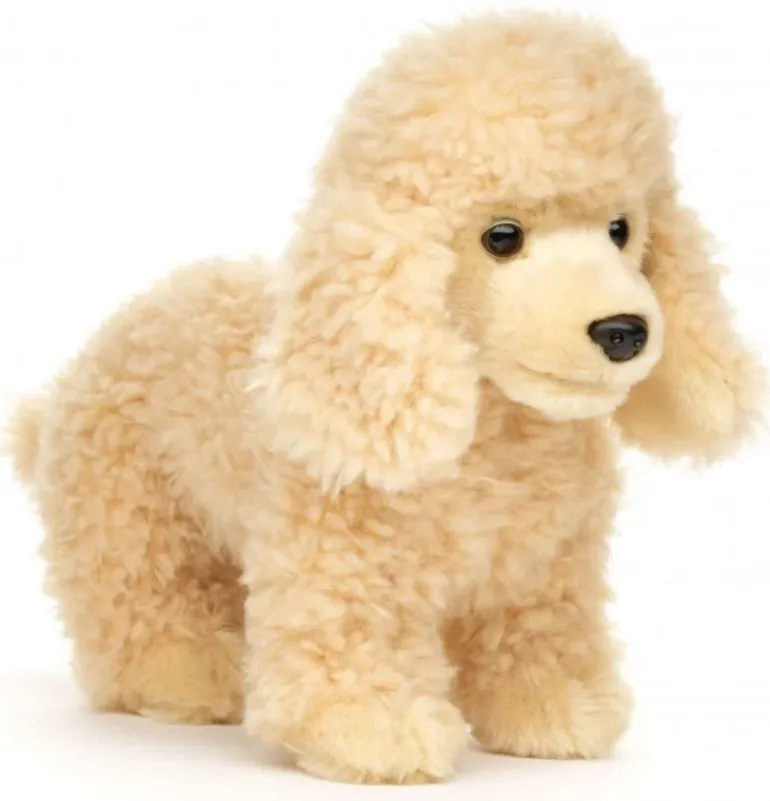 Peluche caniche abricot - 30 cm