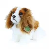 Peluche Cavalier King Charles -25 cm
