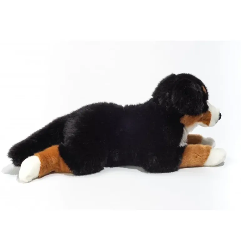 Peluche chien bouvier bernois couché - 60 cm