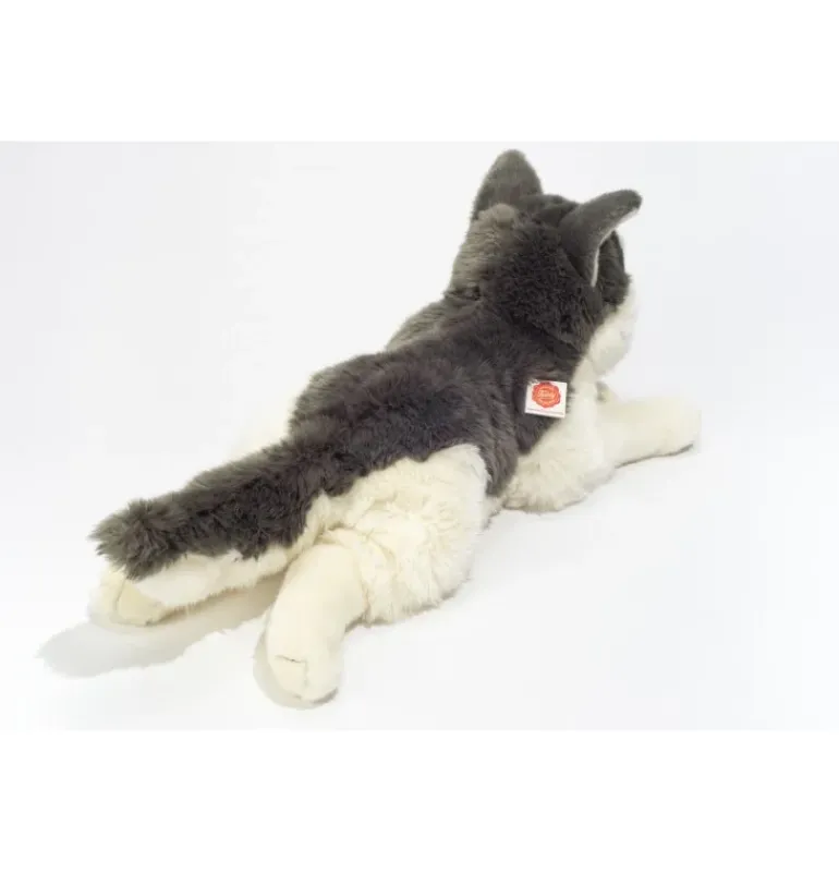 Peluche chien Husky couché - 60 cm