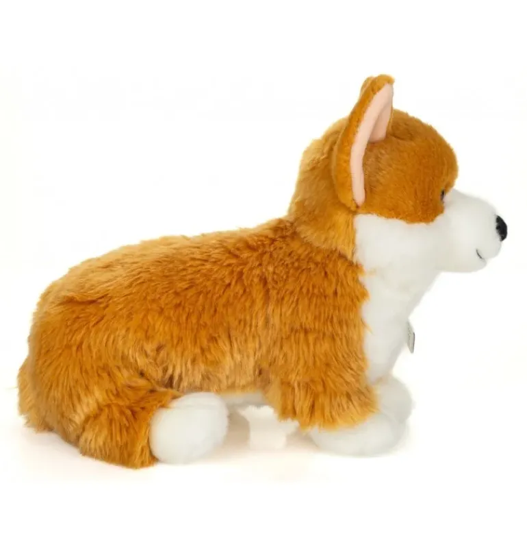 Peluche corgi - 30 cm