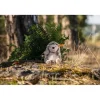 Peluche hérisson Hedgy - 16 cm