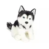 Peluche Husky assis - 30 cm