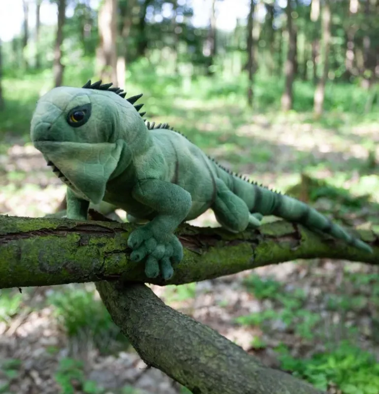 Peluche iguane - 70 cm