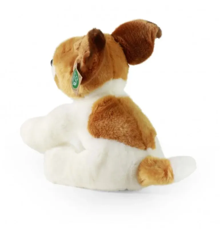Peluche Jack Russell terrier - 30 cm