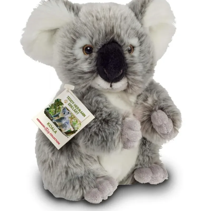 Peluche koala - 21 cm