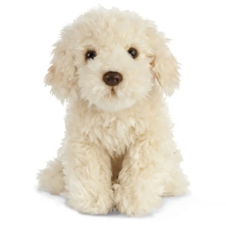 Peluche Labradoodle - 25 cm