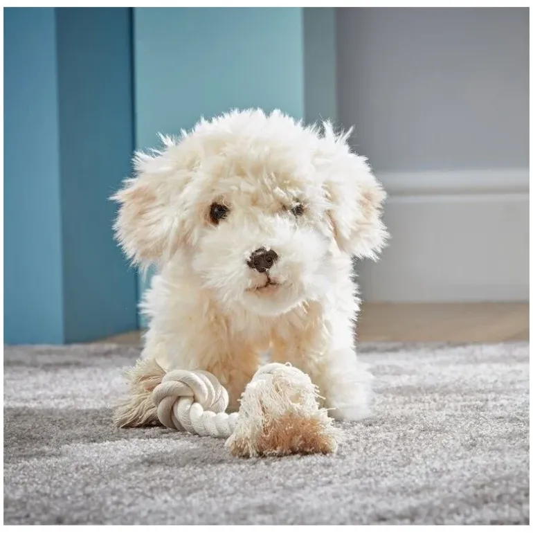 Peluche Labradoodle - 25 cm