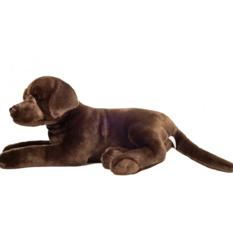 Peluche labrador couché brun chocolat - 50 cm