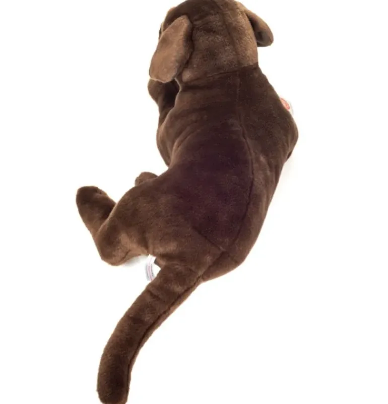 Peluche labrador couché brun chocolat - 50 cm