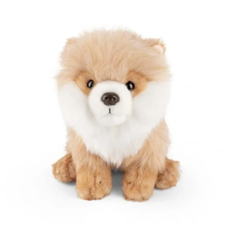Peluche loulou de Poméranie - 28 cm
