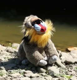 Peluche mandrill - 28 cm