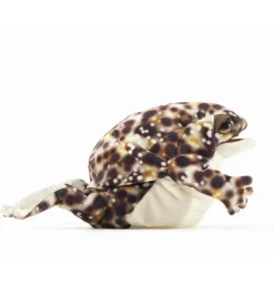 Peluche marionnette grenouille des pluies du désert