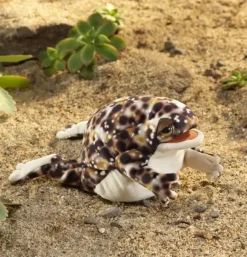Peluche marionnette grenouille des pluies du désert
