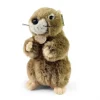 Peluche marmotte - 23 cm