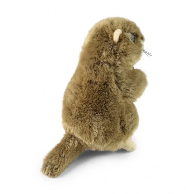Peluche marmotte - 23 cm