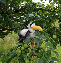 Peluche mouette