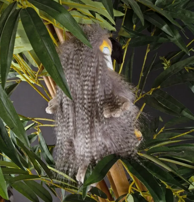 Peluche oiseau "Coco Coocoo"