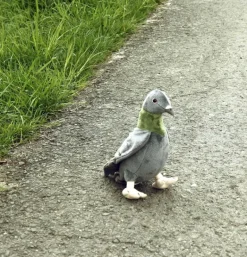 Peluche pigeon - 23 cm