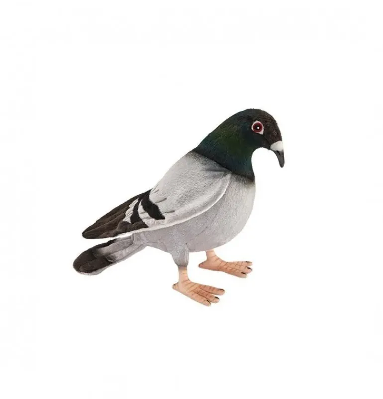 Peluche pigeon voyageur - 20 cm