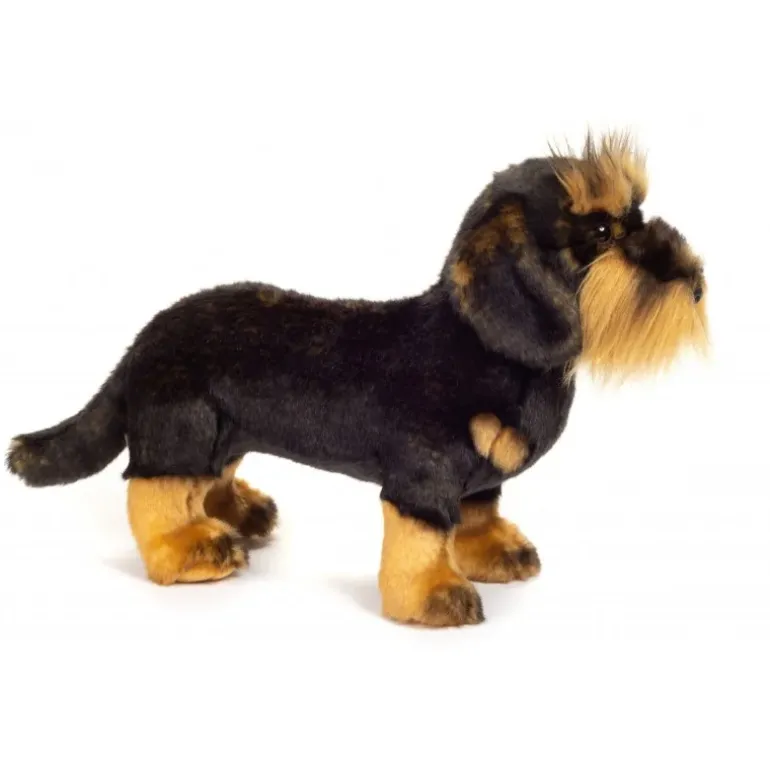 Peluche teckel à poil dur - 28 cm