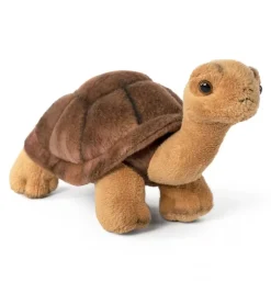 Peluche tortue - 20 cm