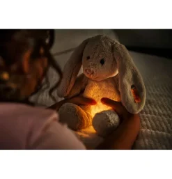 Peluche veilleuse